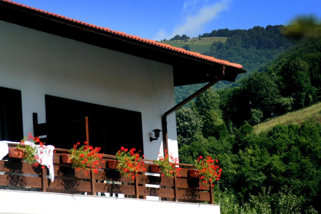 Spa Hotel Planinata Ribaritsa Habitación foto