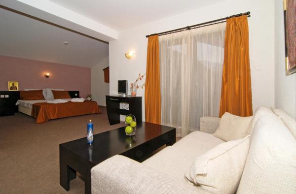 Spa Hotel Planinata Ribaritsa Habitación foto